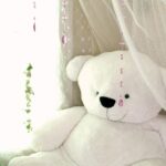 光と影と空気を整えて気分が静かになる様子をイメージした写真